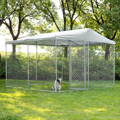 Outdoor large dog - outdoor,