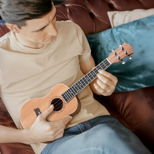Concert ukulele mahogany - ukulele,