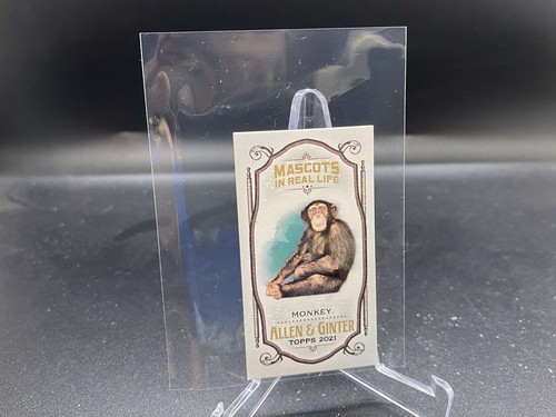 Monkey 2021 topps allen - topps,