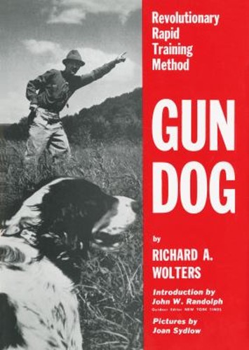 Gun dog revolutionary - revolutionary, rapid