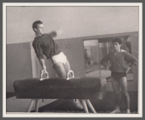 Pommel horse athlete sports - pommel,