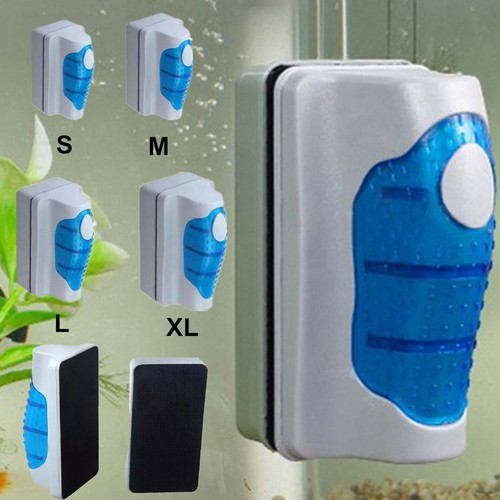 Aquarium fish tank - fish,