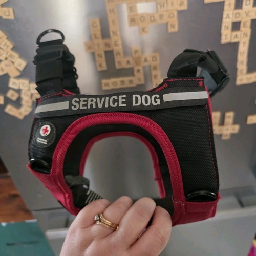 Sleepypod service dog harness - service,
