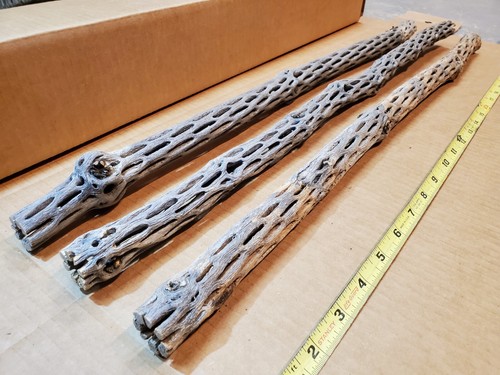 New cholla wood - cholla, 24"