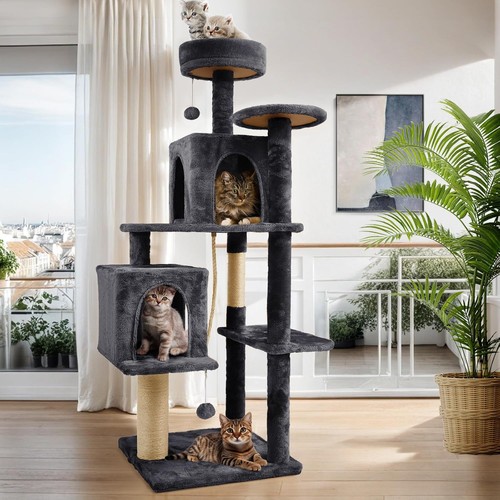 Inch tall indoor cat - 58,