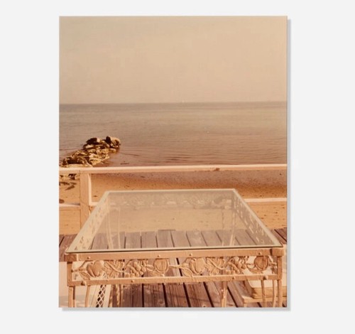 Joel meyerowitz - joel,