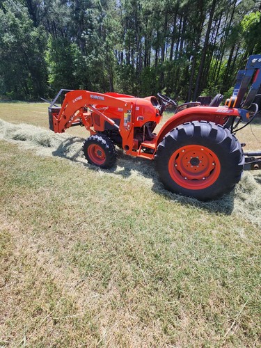 Horse hay - horse,