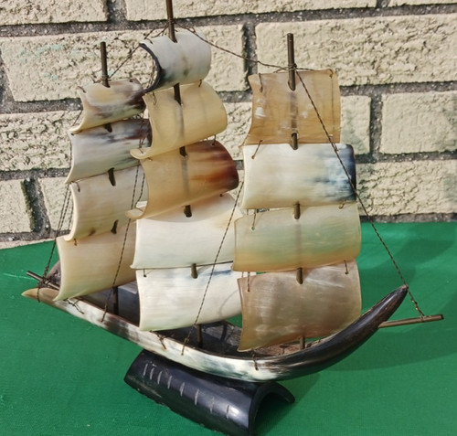 Cow bull horn - bull, ship