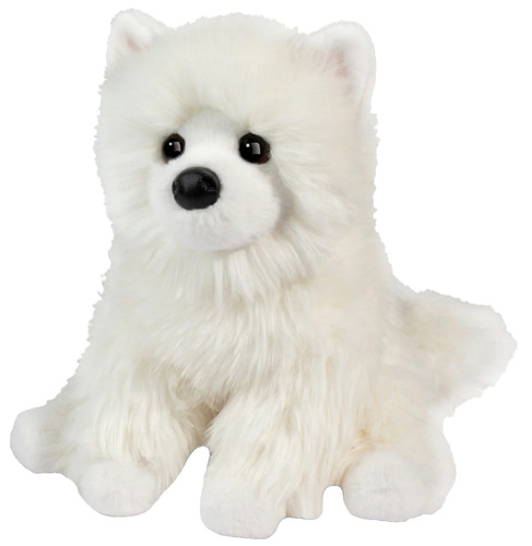 Opo white pomeranian - pomeranian, dog