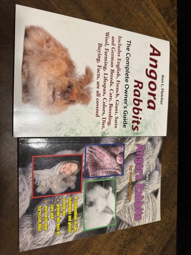 Angora rabbits the nervous - angora,