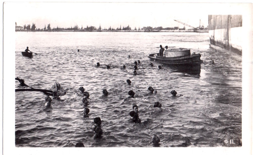Vintage photograph dive - photograph,