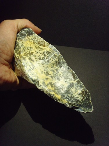 Lower paleolithic early - lower,