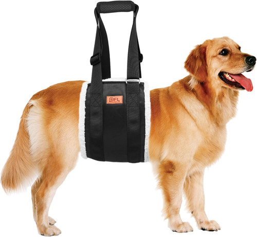 Adjustable dog lift harness - adjustable,