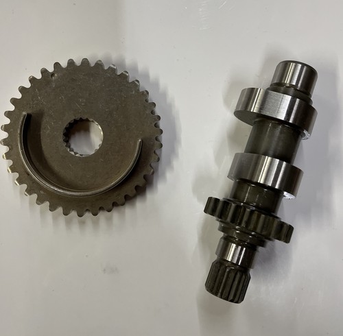 Harley davidson cam - davidson,
