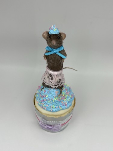Taxidermy mouse cupcake faux - mouse,