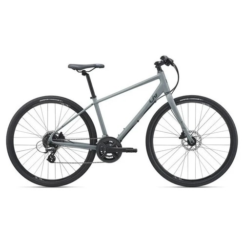 Alight disc small slate - dd, x-small