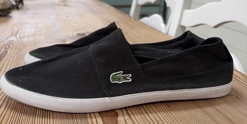New lacoste men - lacoste, men’s