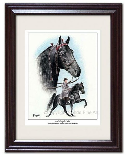Tennessee walker walking - tennessee,