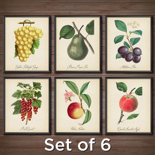 Kitchen fruit set 6 - ~,