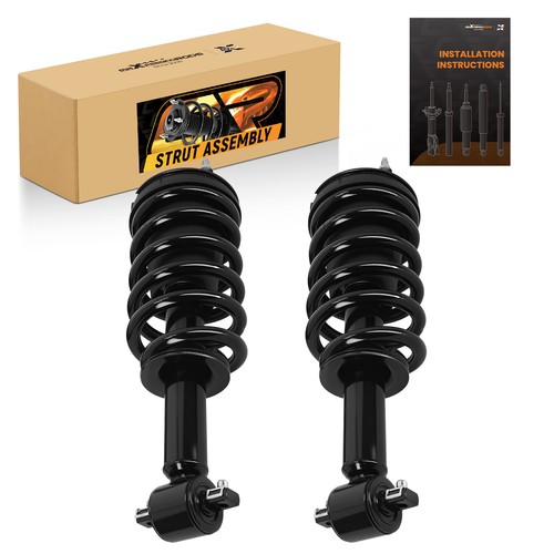 Front struts shocks - struts, assembly