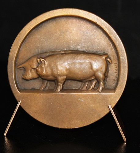 Pig medal breeding - pig, sow
