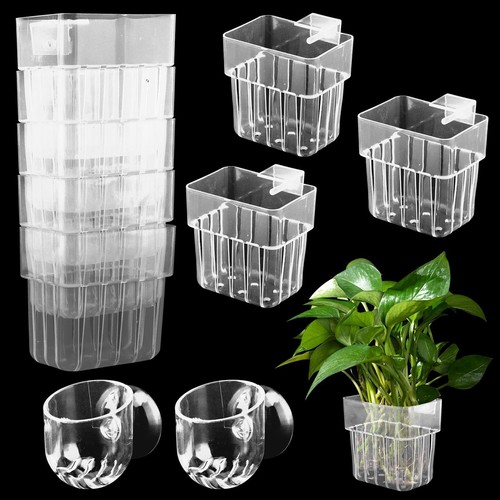 Loyanger pack aquarium plant - pack,