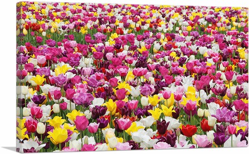 Artcanvas tulips pattern home - tulips,