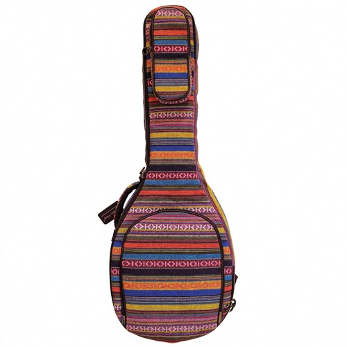 Padded string banjo case - banjo,