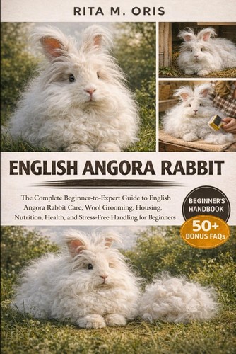 English angora rabbit the - english,