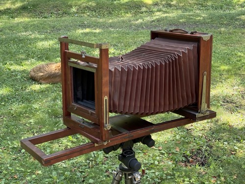 Gundlach korona 8x10 wooden - korona,