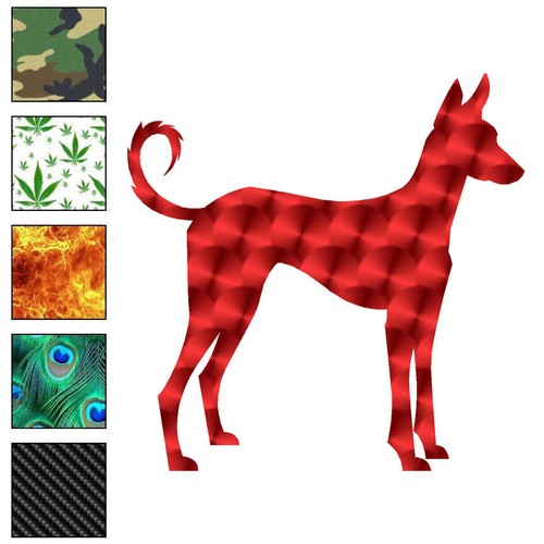 Pharaoh hound ibizan vinyl - hound, ibizan,