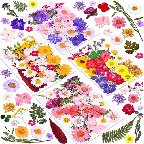 140 pcs dried pressed flowers - pcs,