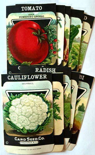 Antique seed packets new - seed,