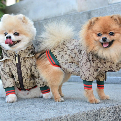 Cute stylish pet - pet, zipper