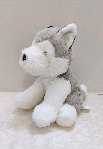 Siberian husky carters grey - siberian,