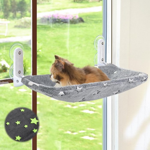 Cat window perch - window,