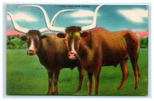 Postcard texas long - postcard,