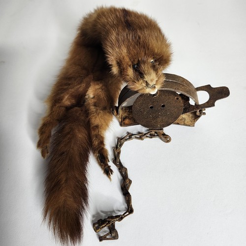 Vtg steel animal foot - vtg,