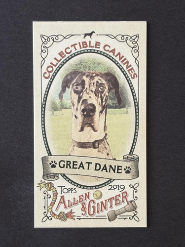 2019 topps allen ginter - allen, &