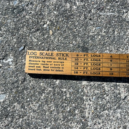 Tree and log scale stick - scale,