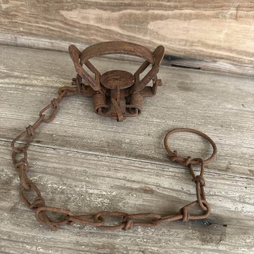 Victor small animal trap - animal,