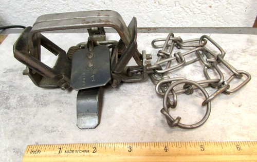 Northwoods spring style metal