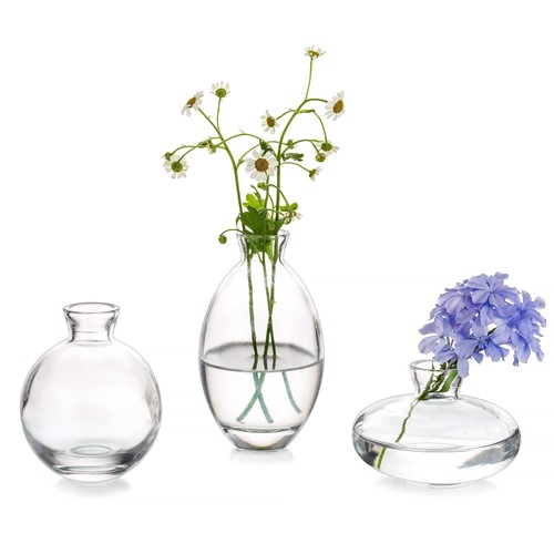 Clear glass bud vase - glass,