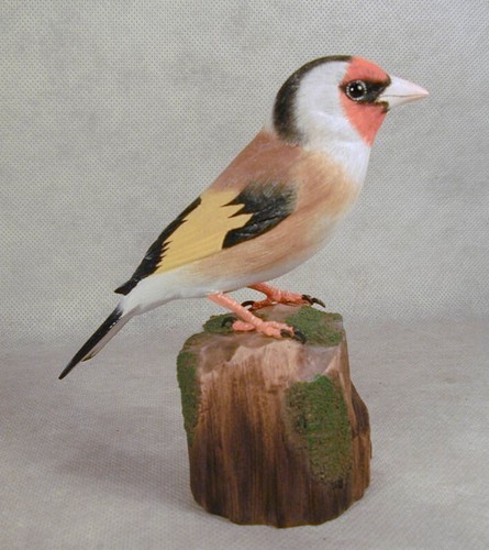 European goldfinch original - european,