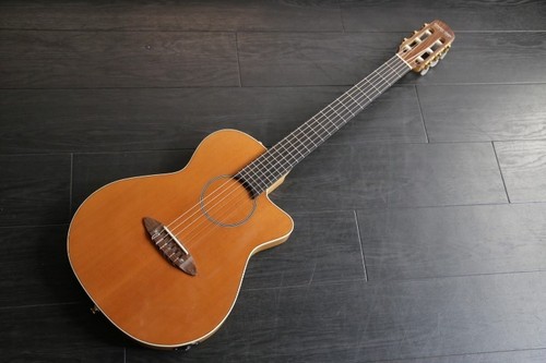 Carruthers guitars acn - carruthers,