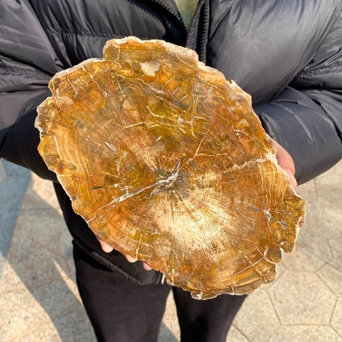 4lb large beautiful polished - large,