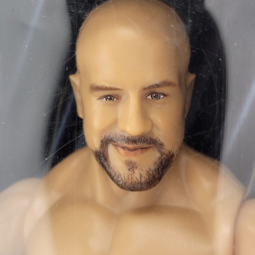 Wwe true moves cesaro - moves,