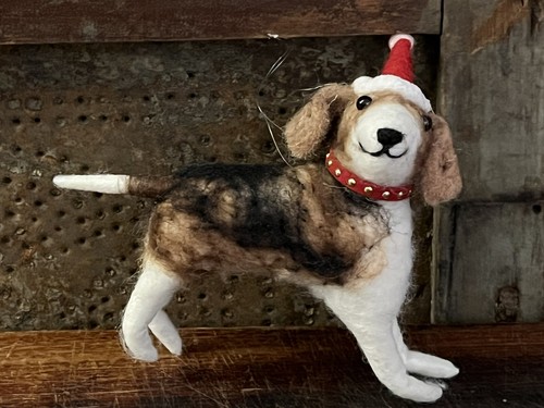 Coon dog hound beagle - beagle, walker