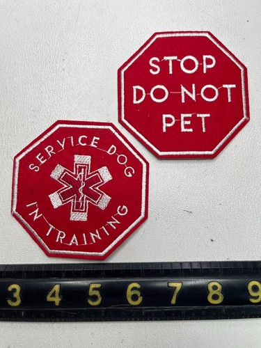 Thin patches working dog - 2,