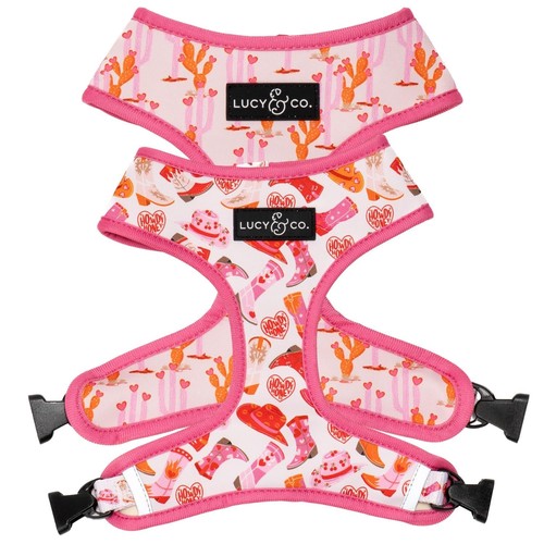 Lucy and reversible dog - lucy,